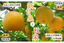 新甘泉・秋栄セット 秀品 2.5kg箱【スクスク農場】
