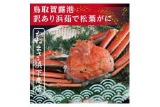 鳥取賀露港 訳あり浜茹で松葉がに 大 1枚【かねまさ・浜下商店】