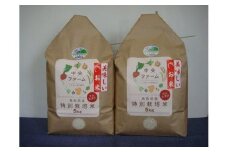 【先行予約】鳥取県産特別栽培米こしひかり ( 10kg )【2025年9月上旬稲刈り後出荷】