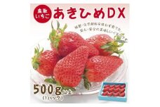 あきひめDX 500g 鳥取いちご【とみハウス】