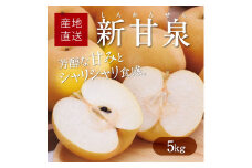 新甘泉 5kg【たにがみ農園】