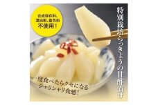 特別栽培らっきょうの甘酢漬（5袋セット）