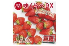 味くらべDX 1kg 鳥取いちご【とみハウス】