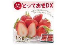 とっておきDX 1kg 鳥取いちご【とみハウス】