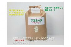 万葉の里鳥取市国府町産「万葉もち麦」2kg