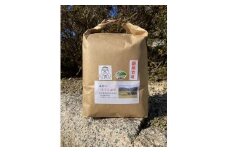 【定期便】2025年 新米定期便 鹿野のさくら姫米 3kg×全3回【10月・11月・12月】