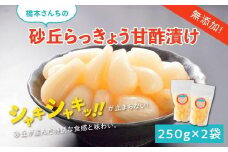 橋本さんちの砂丘らっきょう甘酢漬け 500g