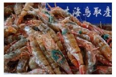 鳥取県産 冷凍もさえび【中村商店】