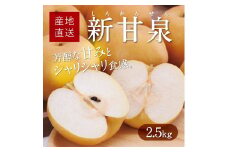 新甘泉 2.5kg【たにがみ農園】