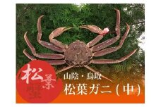特選とっとり松葉ガニ (中)【山根商店】