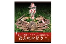 特選とっとり松葉ガニ「五輝星(いつきぼし)」【山根商店】