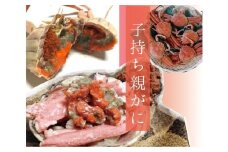 特選とっとりセコガ二 (親ガニ)5枚セット【山根商店】