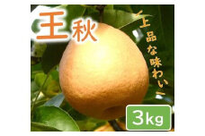 王秋梨 3kg【やぶやフルーツガーデン】