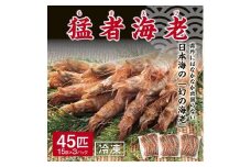 猛者海老 15匹×3パックセット【山根商店】