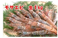 【魚倉】モサエビ 生1kg (中～大サイズ)