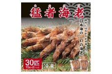 猛者海老 15匹×2パックセット【山根商店】