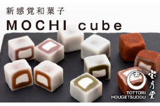 MOCHI cube 12個入り