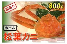 【魚倉】足1本なしボイル松葉ガニ (大800g) 訳あり