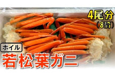 【魚倉】ボイル若松葉ガニ 4尾分8肩 (足1～2本なし含む)