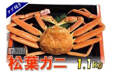 【魚倉】タグ付きボイル松葉ガニ (特特大1,100g)