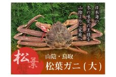 特選とっとり松葉ガニ (大)【山根商店】