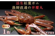 松葉ガニ活生「特々大1枚」ブランドタグ付き※着日指定不可※【弁慶丸】