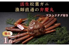 松葉ガニ活生「特大1枚」ブランドタグ付き※着日指定不可※【弁慶丸】