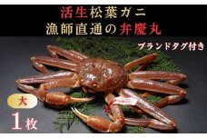 松葉ガニ活生「大1枚」ブランドタグ付き※着日指定不可※【弁慶丸】
