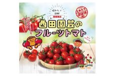 フルーツトマト 1.5kg