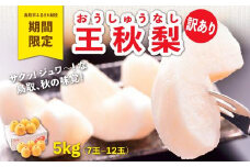 訳あり 王秋梨 5kg【やぶやフルーツガーデン】