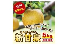 新甘泉 5キロ【安田農園】