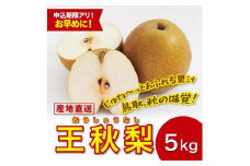 王秋梨 5キロ【安田農園】