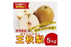 王秋梨 5キロ【安田農園】