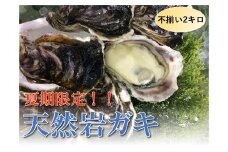【魚倉】不揃い 天然岩ガキ 2kgセット