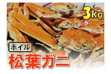 【魚倉】松葉がに ボイル おまかせセット 3kg 訳あり