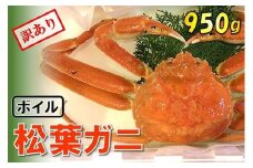 【魚倉】足1本なしボイル松葉ガニ (特大950g) 訳あり