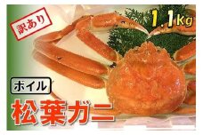【魚倉】足1本なしボイル松葉ガニ (特特大1,100g) 訳あり