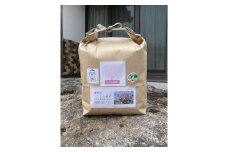 【定期便】2026年 さくら定期便 鹿野のさくら姫米 3kg×全3回【4月・5月・6月】