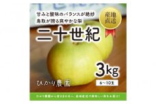 こだわり二十世紀梨 3キロ（ひかり農園）
