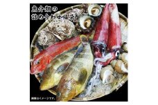 魚介類の詰め合わせ福袋 (魚介類2～4品程度入)