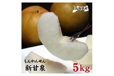 鳥取県産 新甘泉5kg【フォーシーズン】