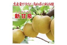 ※品切れ※鳥取県産 新甘泉3kg 訳あり【フォーシーズン】