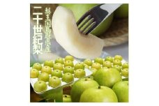 鳥取県産 二十世紀梨5kg【フォーシーズン】