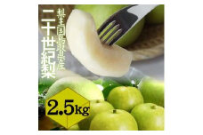 鳥取県産 二十世紀梨2.5kg 訳あり【フォーシーズン】