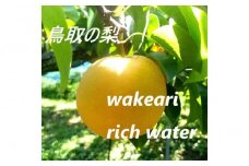 訳あり 豊水梨 5kg【まえた農園】