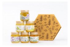 鳥取県産はちみつ6種セット (福蜂蜜・トチ・れんげ・アカシア・くり・百花)(ふるさと物産館)