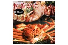 松葉がに 訳あり (茹で) 大 800g前後×1枚 鳥取県産【フォーシーズン】