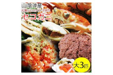 セコガニ 訳あり (茹で) 大 3枚セット 鳥取県産【フォーシーズン】