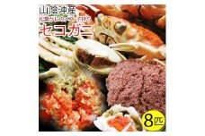 セコガニ 訳あり (茹で) 8枚セット 鳥取県産【フォーシーズン】