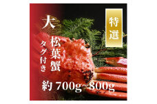 【特選】松葉ガニ 大サイズ 約700g～800g タグ付(茹で)
